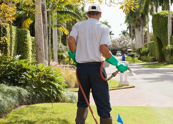 About Todd PA Pest Control